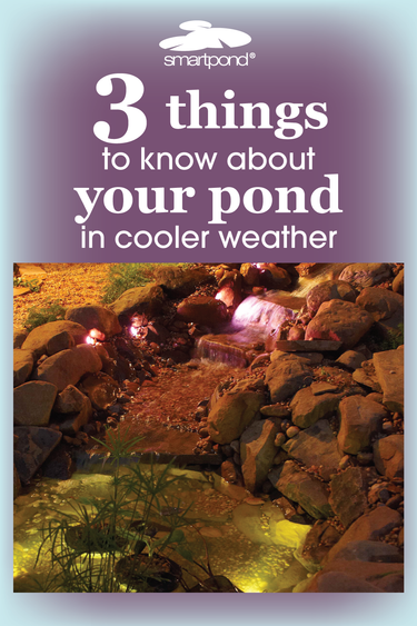 smartpond® Backyard Blog – 3 Things You Should Know About Ponds In Cooler Temperatures