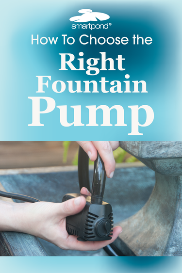 smartpond® Backyard Blog – How to Choose a Replacement Fountain Pump