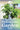 How to Start a Hydroponics Gardening System – smartpond® Backyard Blog