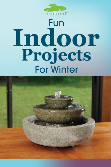 smartpond® Backyard Blog – Fun Indoor Projects