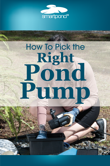 how to pick the right pond pump – smartpond backyard blog