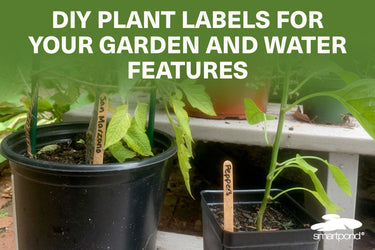 DIY Plant Labels for Your Garden and Water Features