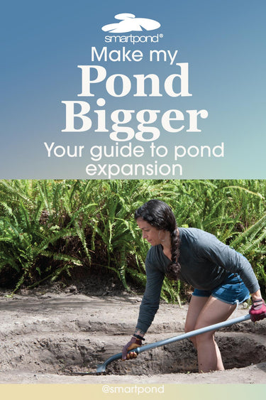 Make My Pond Bigger: The Guide to Pond Expansion – smartpond® Backyard Blog