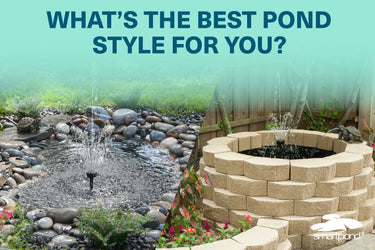 What is the Best Pond Style for You?
