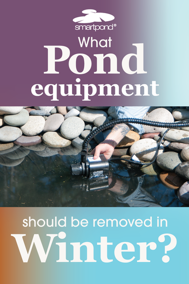 smartpond® Backyard Blog – What Pond Equipment Should be Removed for Winter?