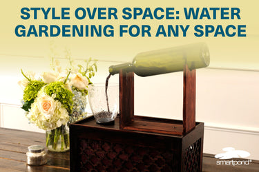 style over space: water gardening for any space