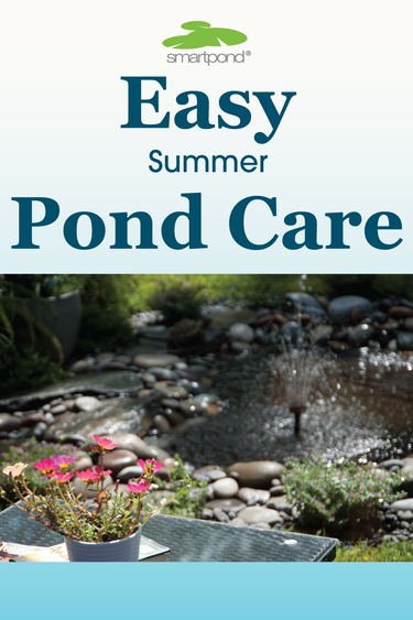 smartpond® Backyard Blog – Easy Summer Pond Care