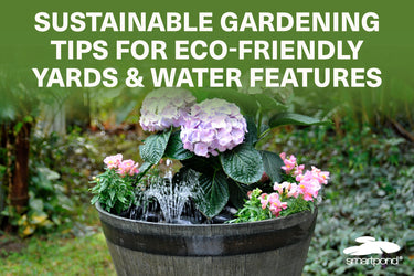 Sustainable Gardening Tips for Eco-Friendly Yards and Water Features