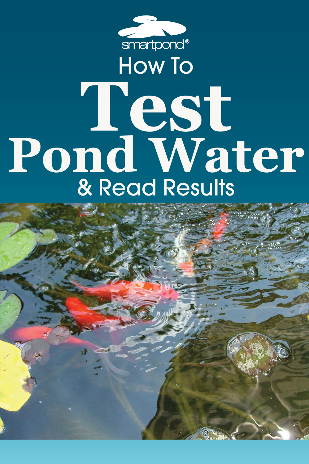 Best pond water clearance test kit