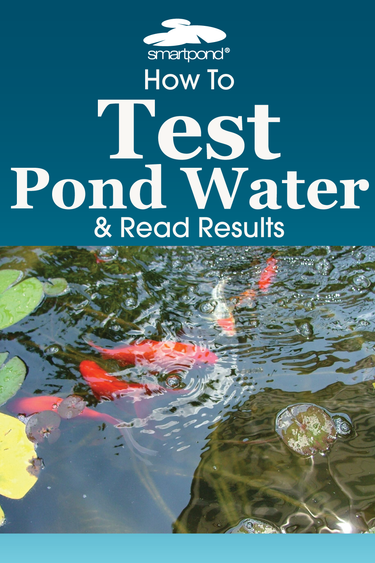 smartpond® Backyard Blog – How to Test Pond Water & How to Read Results