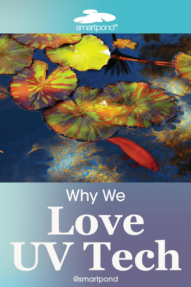 Why we Love UV Tech – smartpond® Backyard Blog