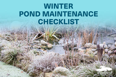Winter Pond Maintenance Checklist