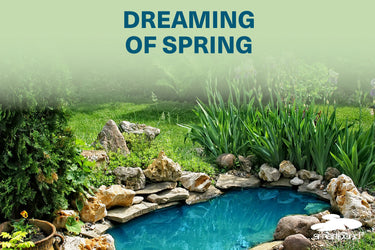 Dreaming of Spring