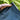 7 ft. x 10 ft. PVC Pond Liner Reinforced with mesh for puncture and tear resistance