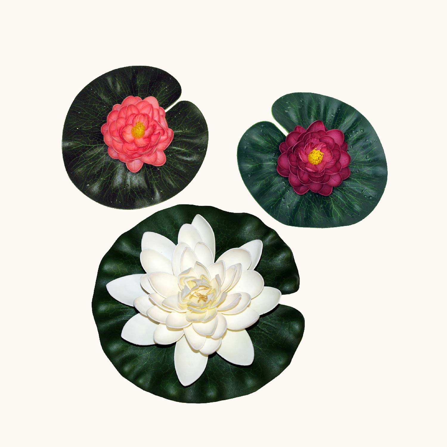 lily pod flower Lily Pad, Variety Pack of 3