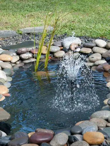 feel at home with water gardening