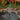 two product pond bundle