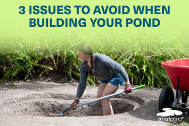 3 Issues to Avoid when Building Your Pond
