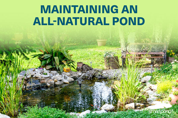 Maintaining an All Natural Pond