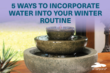 Five Ways to Incorporate Water into Your Winter Routine – smartpond® Backyard Blog