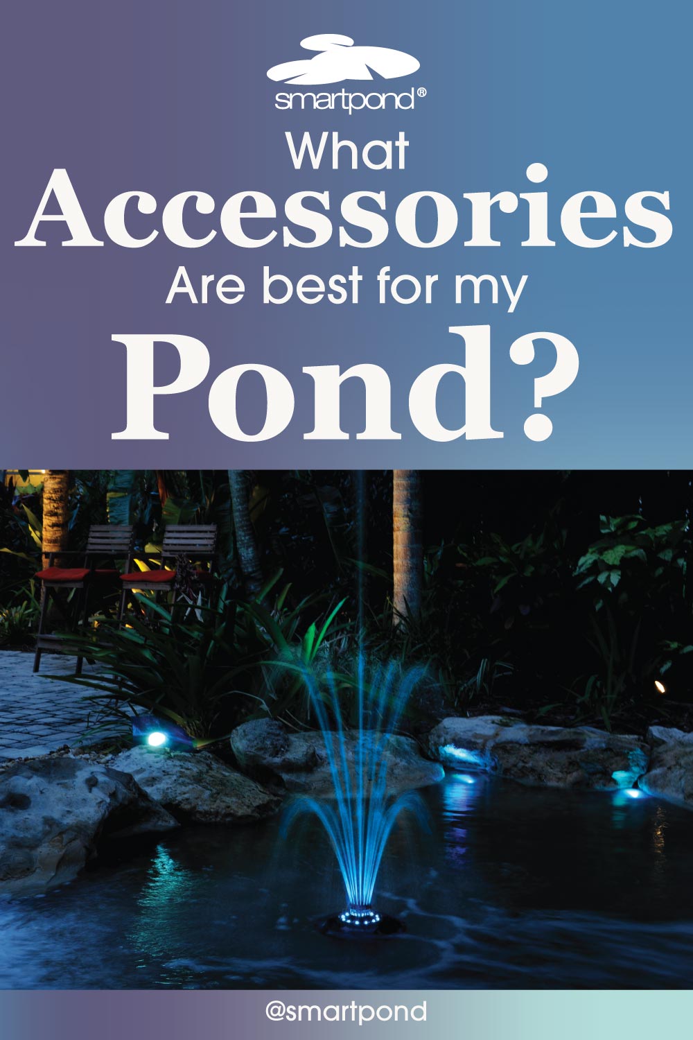 What accessories are best for my pond? – smartpond® Backyard Blog