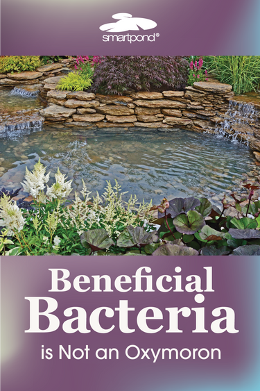 smartpond Backyard Blog – Beneficial Bacteria is Not an Oxymoron
