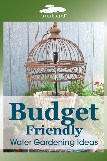 budget friendly water gardening ideas blog post