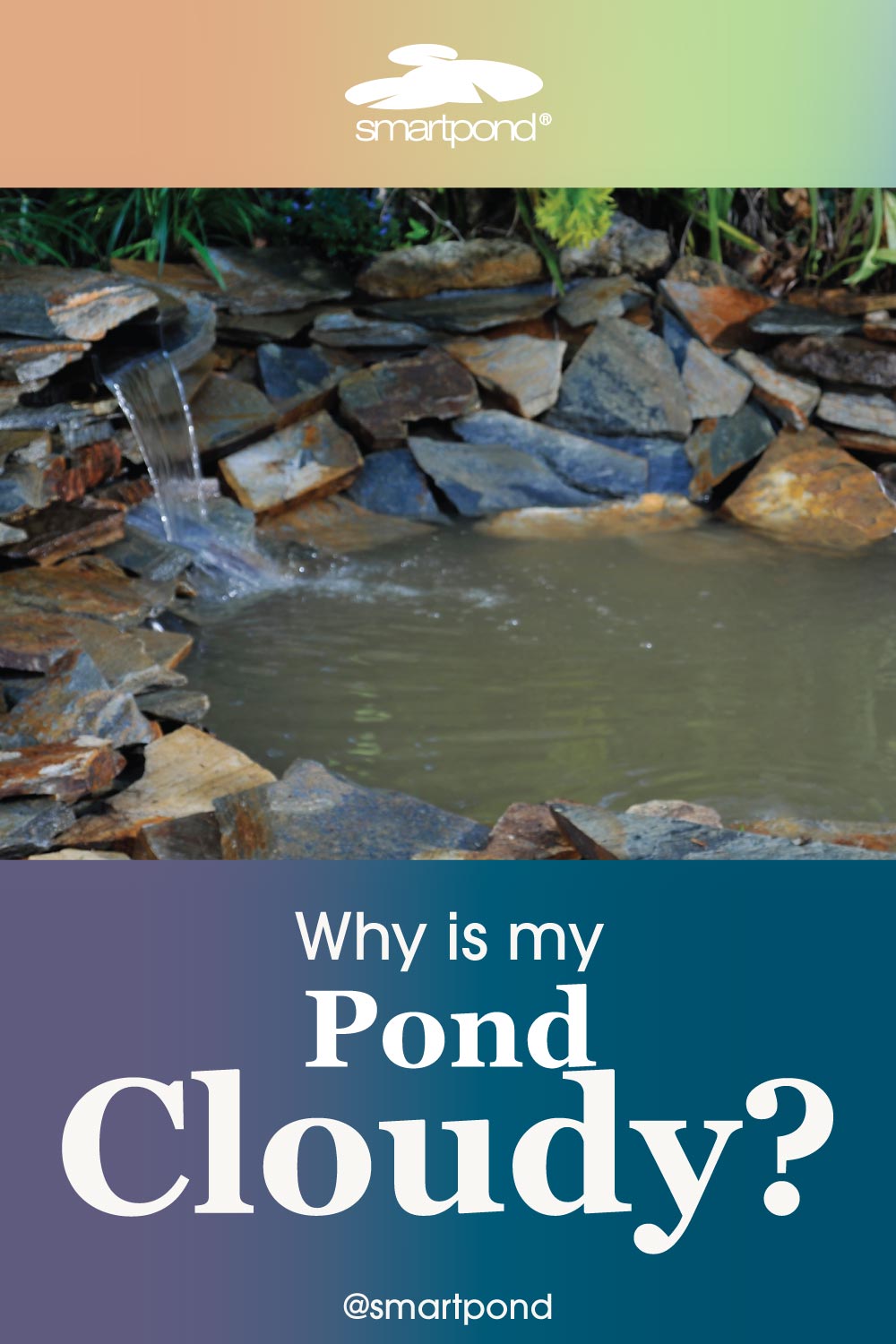 Why is My Pond Cloudy? – smartpond® Backyard Blog