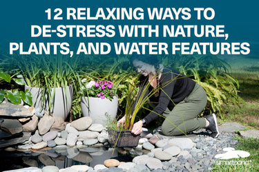 12 Relaxing Ways to De-Stress with Nature, Plants, and Water Features