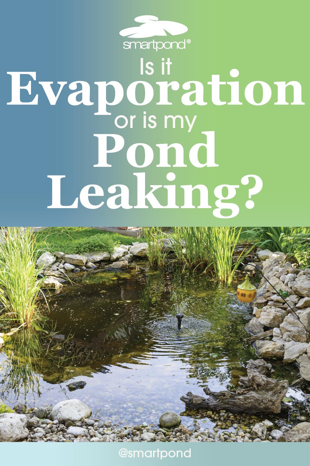 Does My Pond Have a Leak or Is It Just Evaporation? smartpond