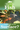 smartpond® Backyard Blog – Why are my fish constantly at the surface?