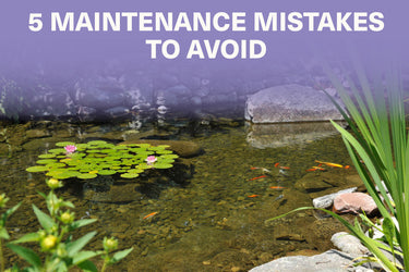  5 Maintenance Mistakes to Avoid