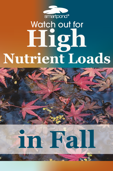 smartpond® Backyard Blog – Watch Out for High Nutrient Loads in Fall