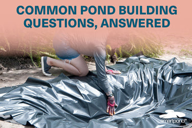 Common Pond Building Questions – Answered