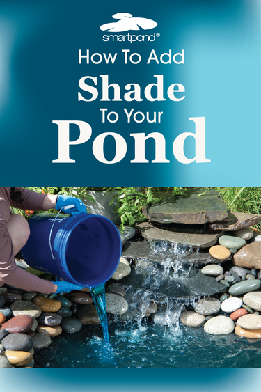 smartpond® Backyard Blog – How to Add Shade to Your Pond