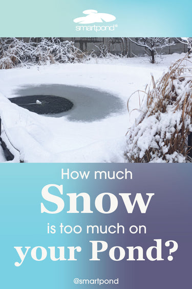 smartpond® Backyard Blog – How Much Snow is Too Much Snow on a Pond?