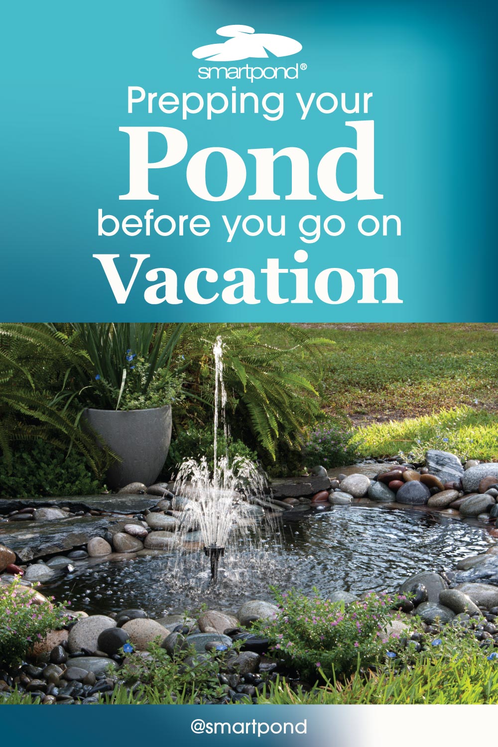 Prepping Your Pond Before Vacation – smartpond® Backyard Blog