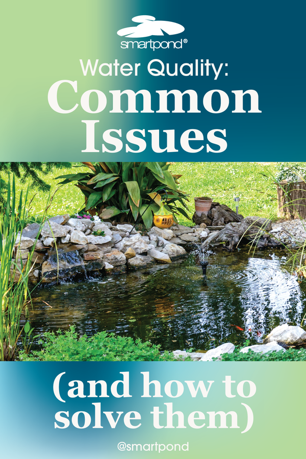 smartpond® Backyard Blog – Most Common Pond Water Quality Issues (and how to fix them)