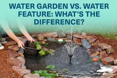 Water Garden vs. Water Feature: What's the Difference?