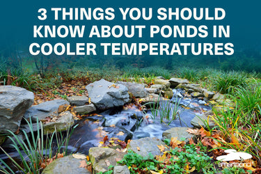 smartpond® Backyard Blog – 3 Things You Should Know About Ponds In Cooler Temperatures