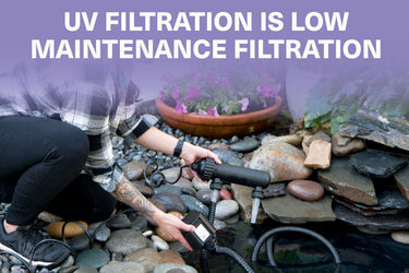 UV Filtration is Low Maintenance Filtration