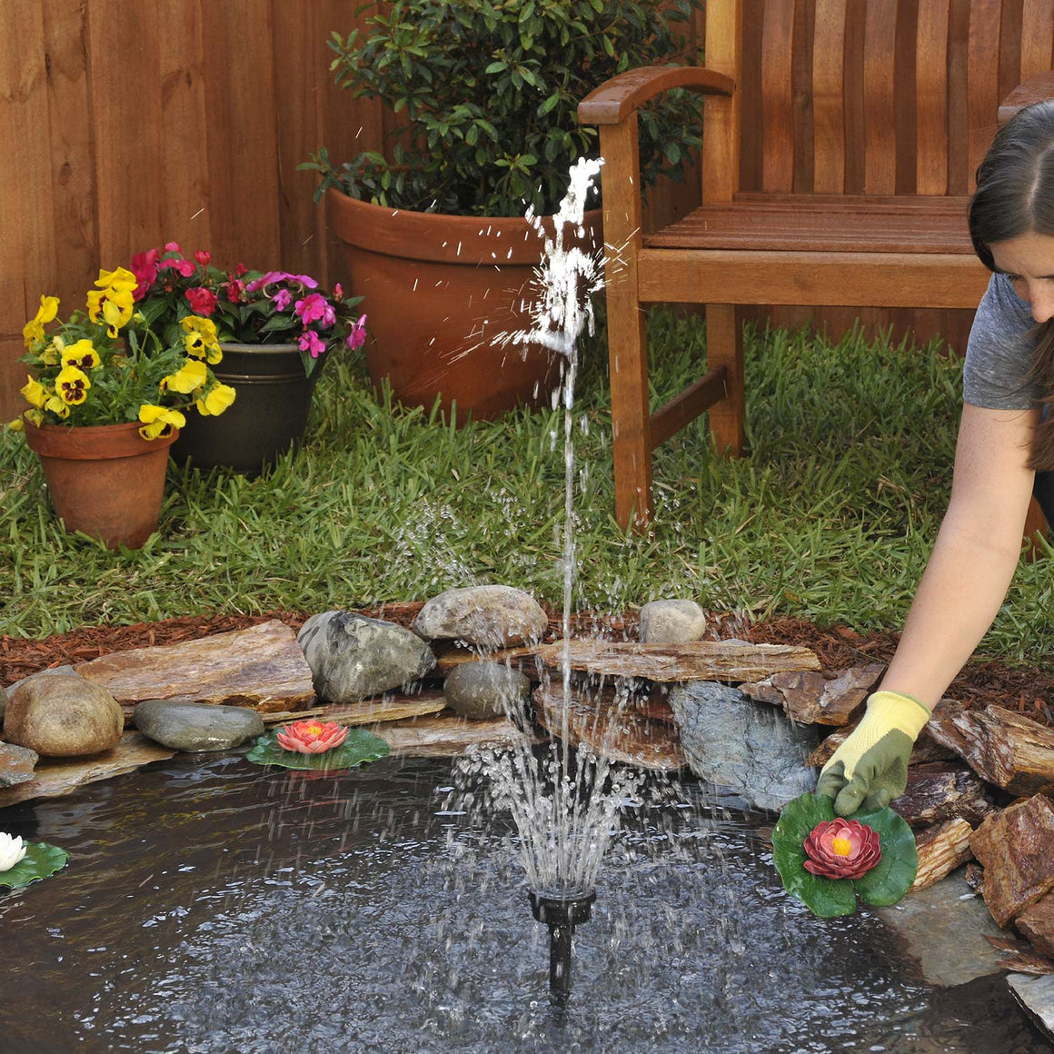 Lily Pad, Variety Pack of 3 - smartpond®