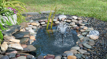 feel at home with water gardening