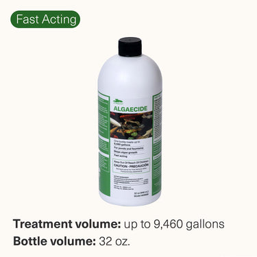 32 oz. liquid algaecide treatment