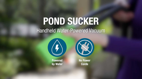 Video about the Pond Sucker