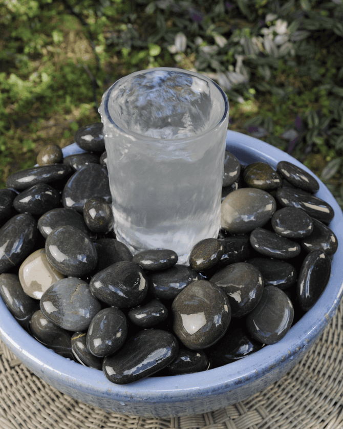 Picture of smartpond® Backyard Blog – How to Test Pond Water & How to Read Results